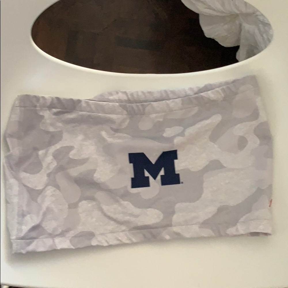 University of Michigan bandeau